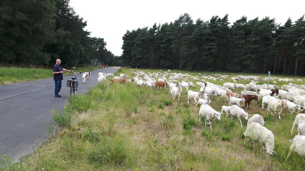 Ferienhaus Burgblick Brueggen Bruggen  Eksteriør bilde